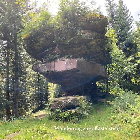 3- 2-1 - Raum - Ferienappartements Dieter Hoffmann Freudenstadt-Kniebis Beim Nationalpark Dış mekan fotoğraf