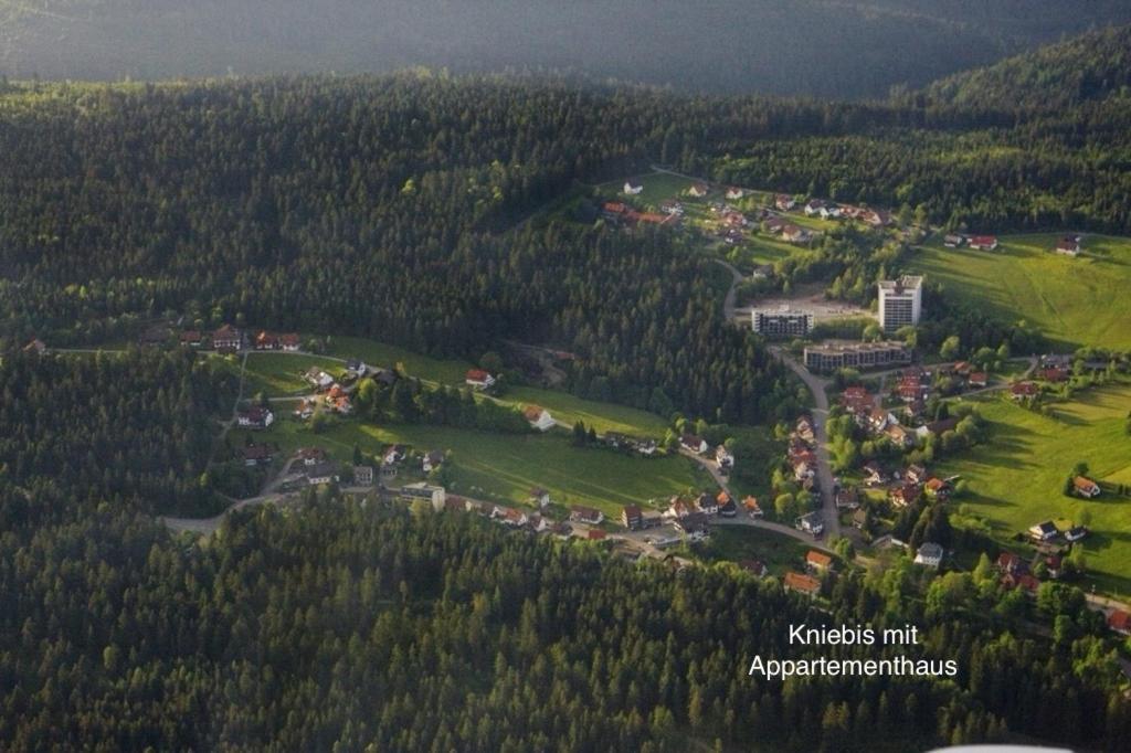 3- 2-1 - Raum - Ferienappartements Dieter Hoffmann Freudenstadt-Kniebis Beim Nationalpark Dış mekan fotoğraf