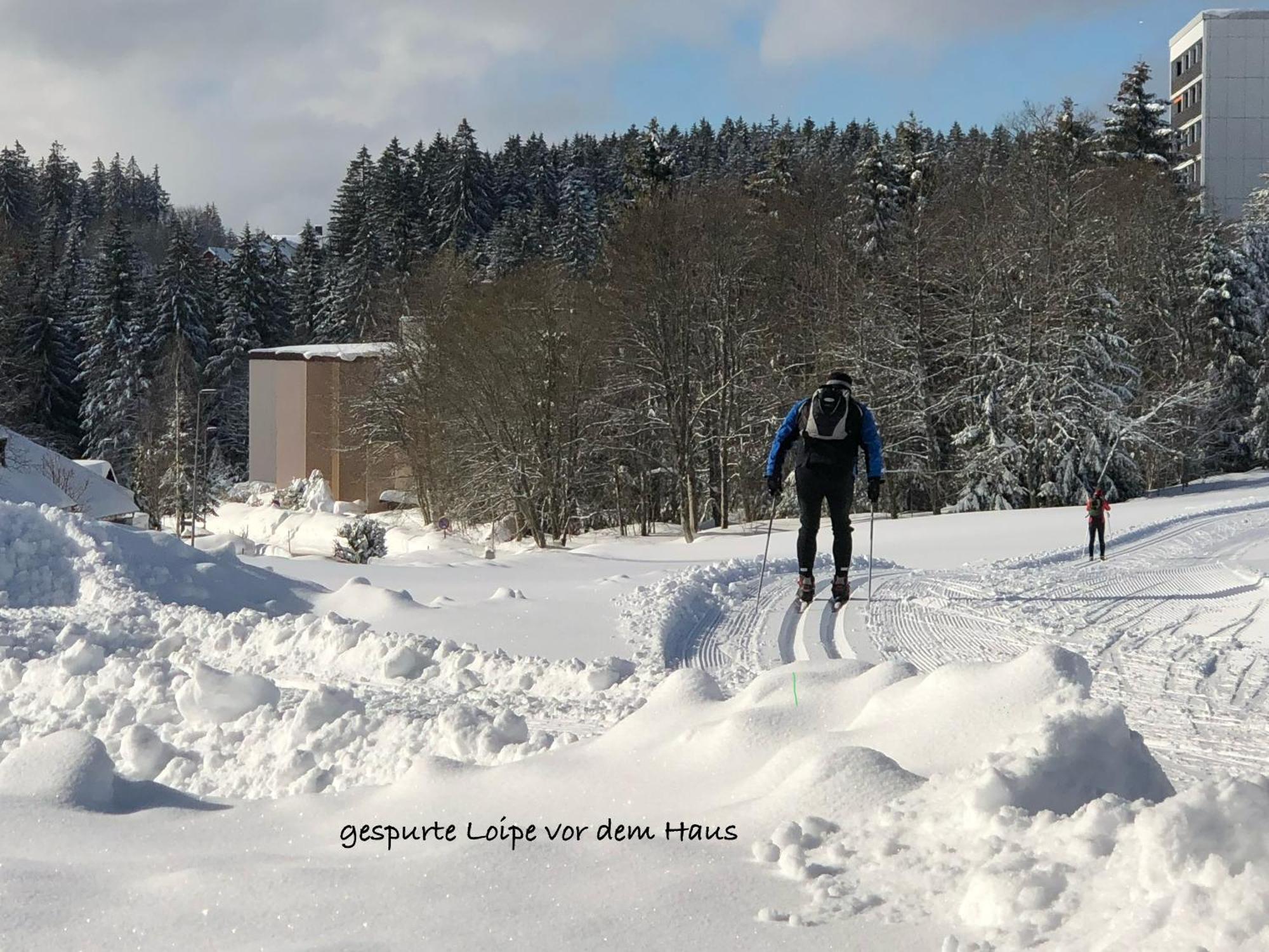 3- 2-1 - Raum - Ferienappartements Dieter Hoffmann Freudenstadt-Kniebis Beim Nationalpark Dış mekan fotoğraf