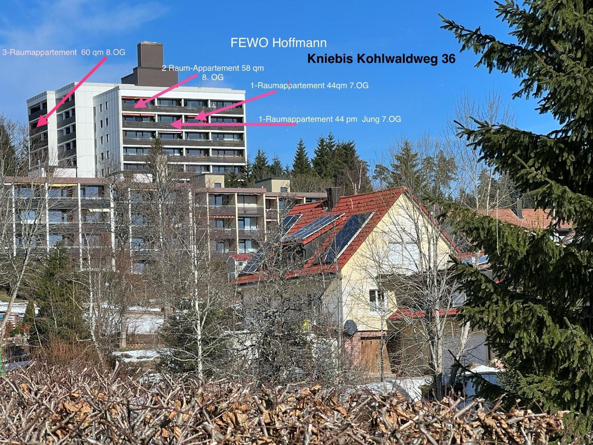3- 2-1 - Raum - Ferienappartements Dieter Hoffmann Freudenstadt-Kniebis Beim Nationalpark Dış mekan fotoğraf