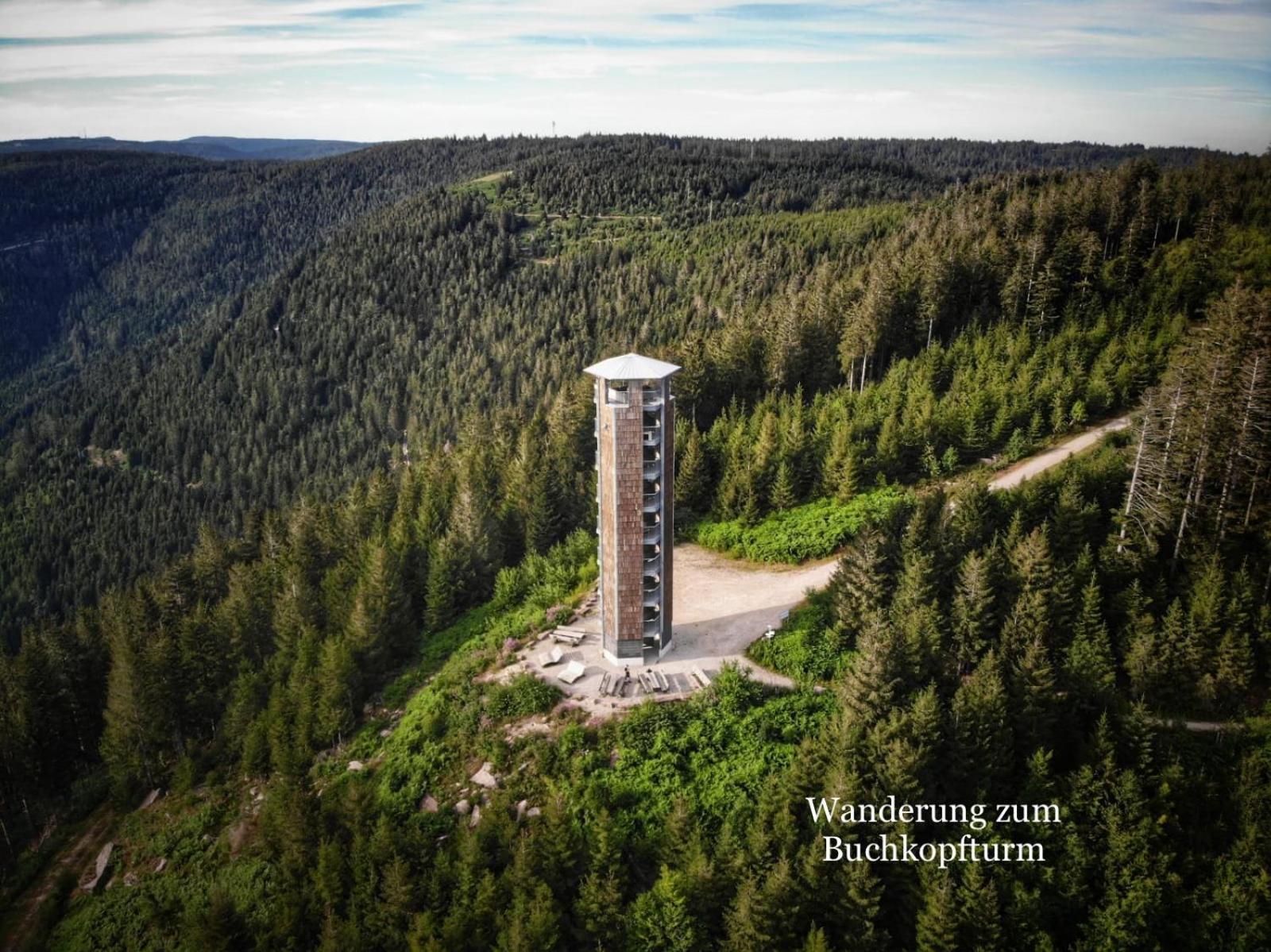 3- 2-1 - Raum - Ferienappartements Dieter Hoffmann Freudenstadt-Kniebis Beim Nationalpark Dış mekan fotoğraf