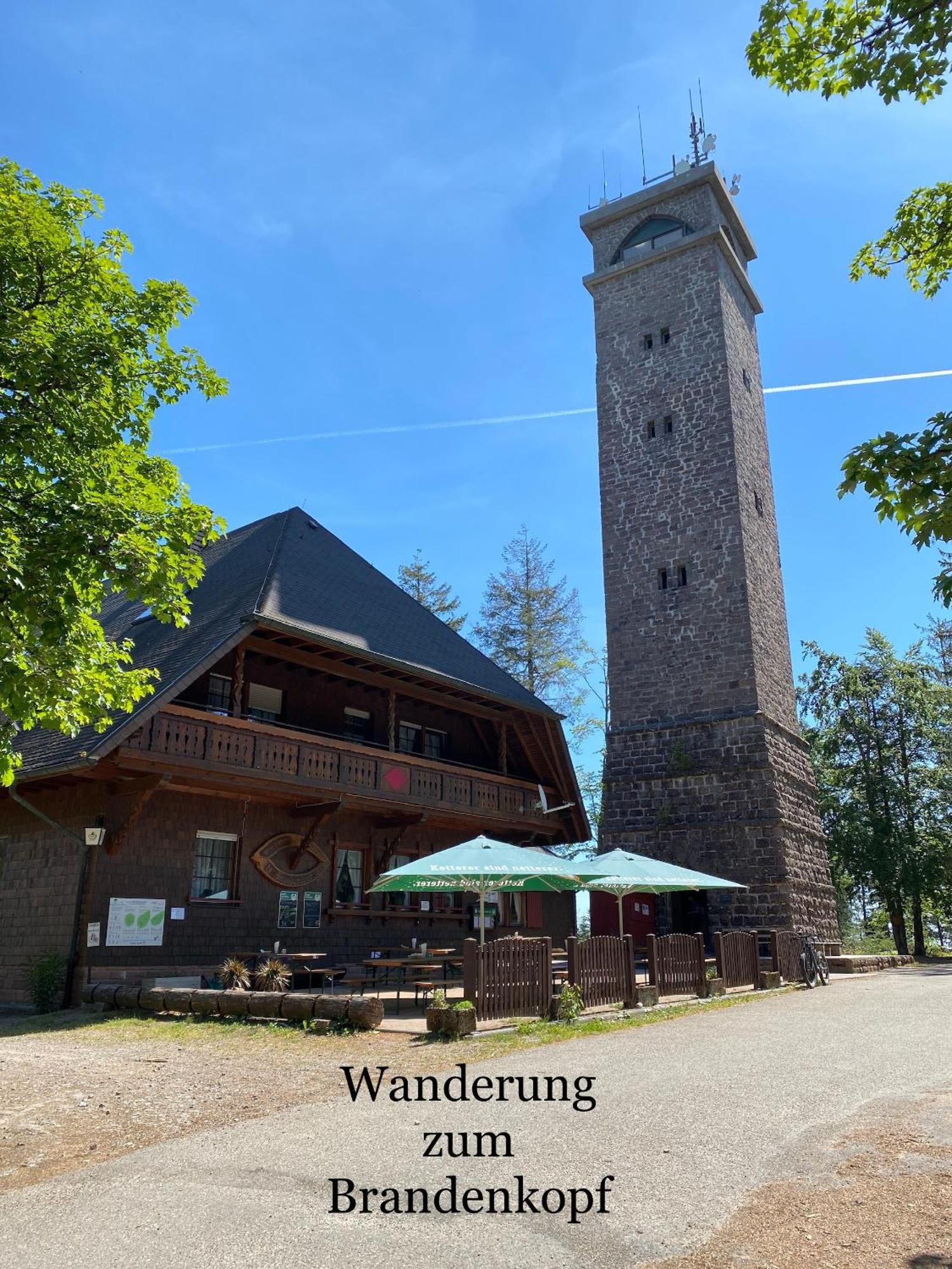 3- 2-1 - Raum - Ferienappartements Dieter Hoffmann Freudenstadt-Kniebis Beim Nationalpark Dış mekan fotoğraf