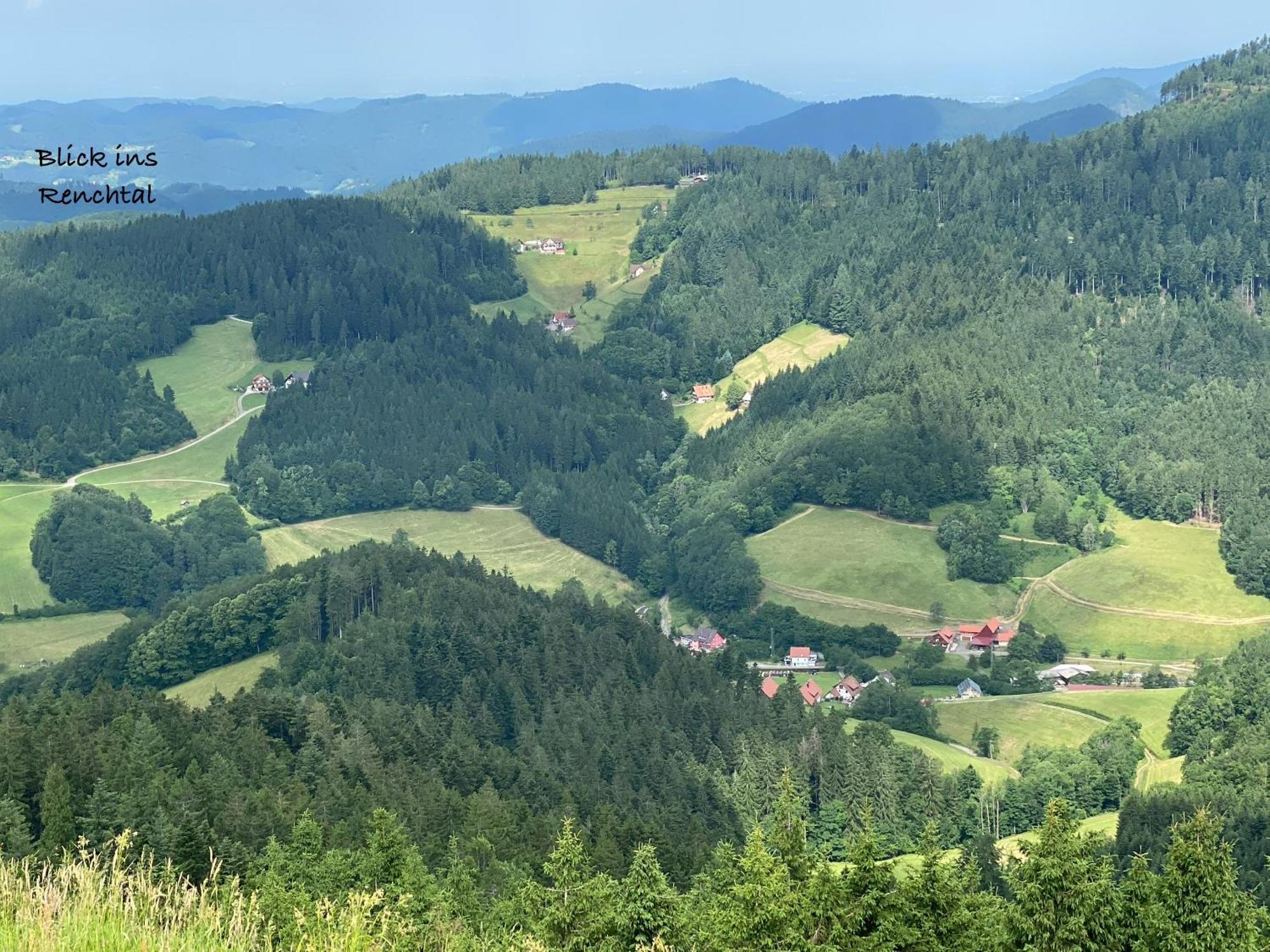 3- 2-1 - Raum - Ferienappartements Dieter Hoffmann Freudenstadt-Kniebis Beim Nationalpark Dış mekan fotoğraf