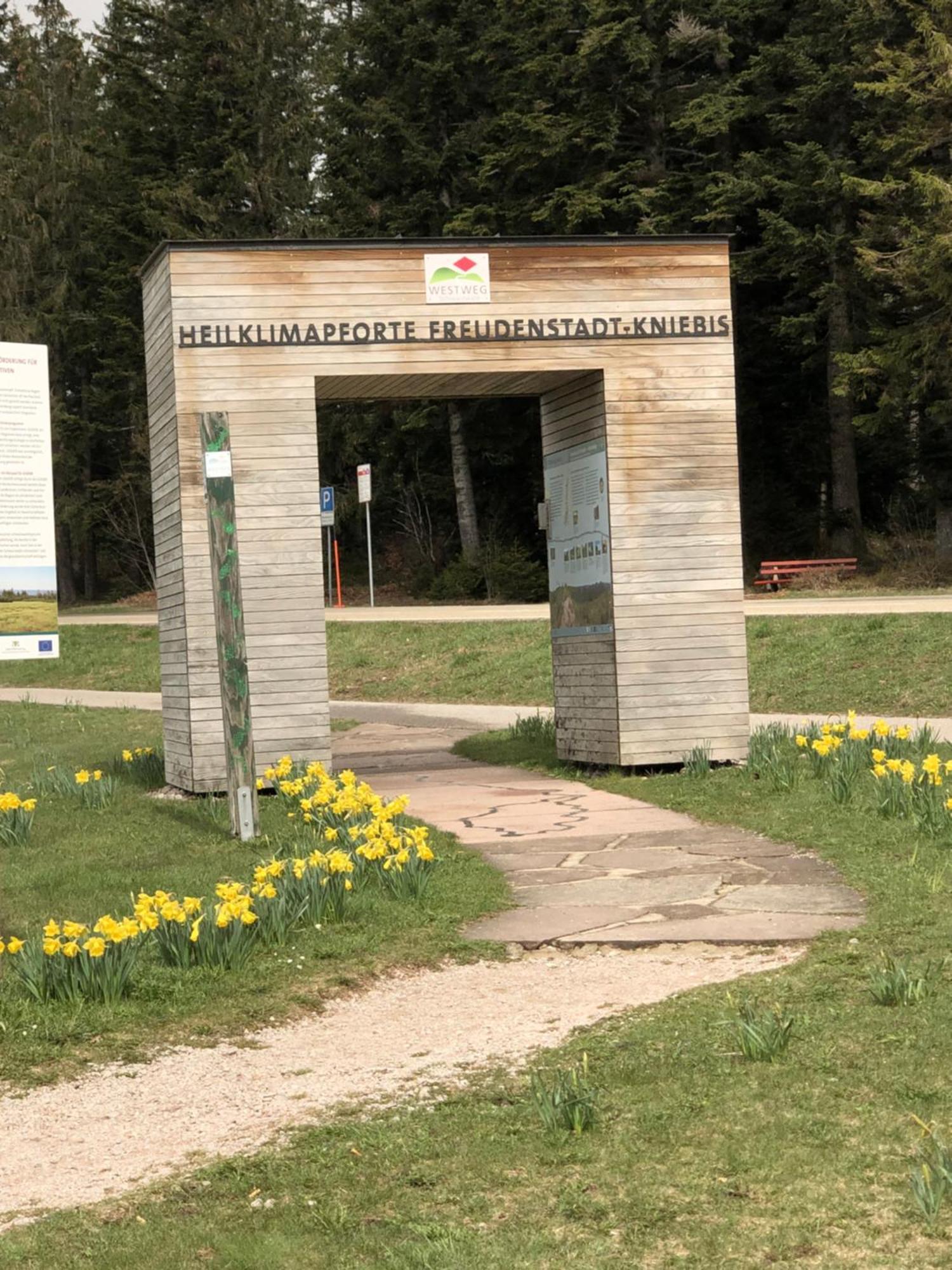 3- 2-1 - Raum - Ferienappartements Dieter Hoffmann Freudenstadt-Kniebis Beim Nationalpark Dış mekan fotoğraf