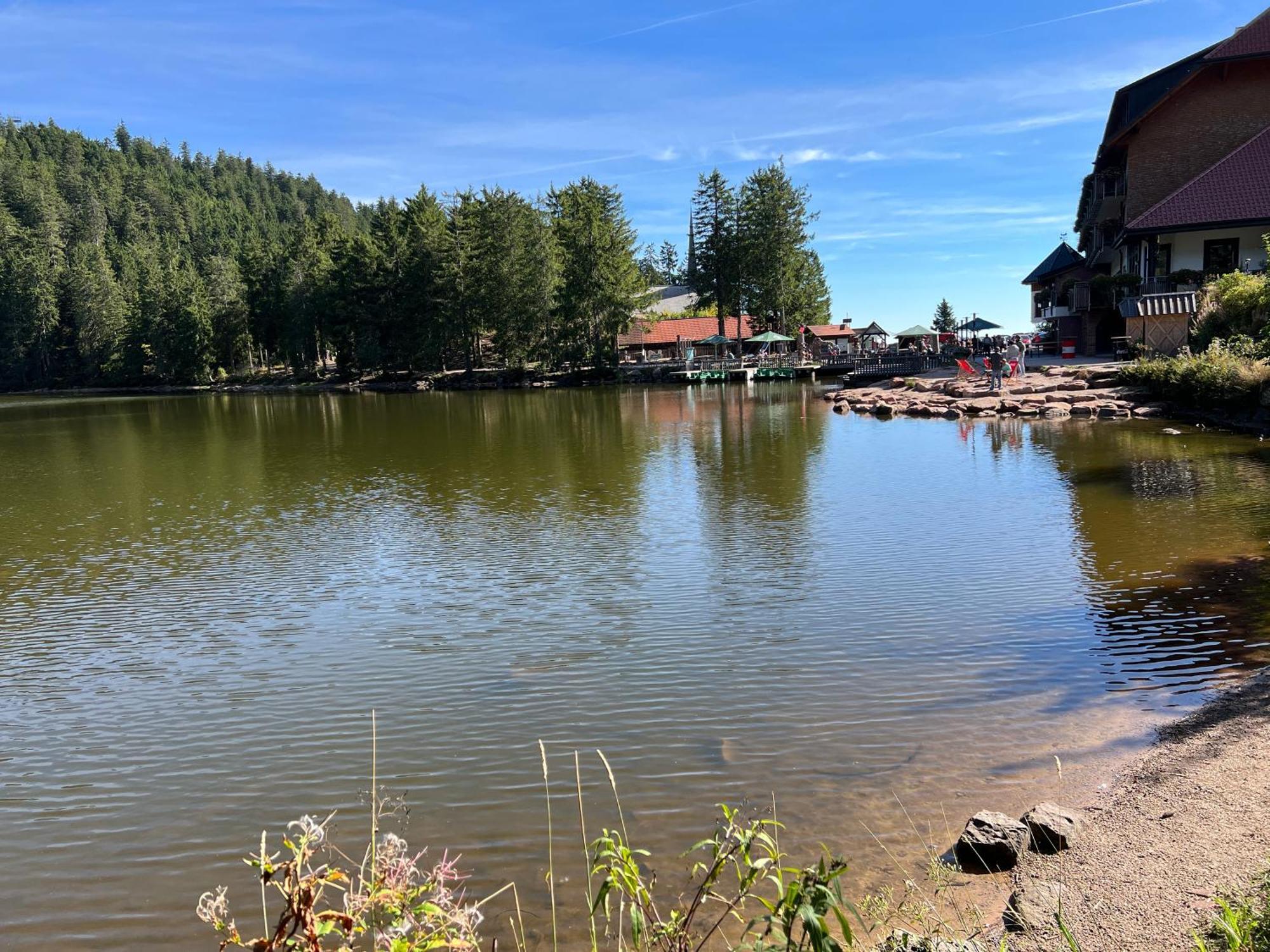 3- 2-1 - Raum - Ferienappartements Dieter Hoffmann Freudenstadt-Kniebis Beim Nationalpark Dış mekan fotoğraf